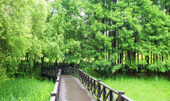 光州湖湖水生態園